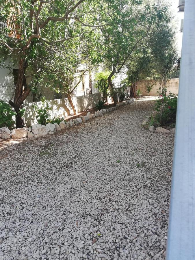Gli Ulivi -Appartamento Al Centro カーラゴノネ エクステリア 写真